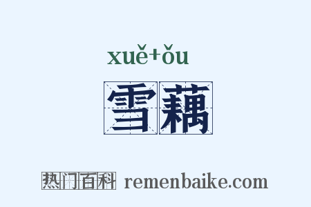 雪藕是什么意思的图片